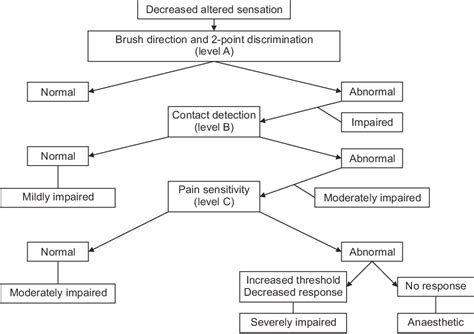 Figure 1 From Inferior Alveolar Nerve Dysfunction In Mandibular Fractures A Prospective Cohort