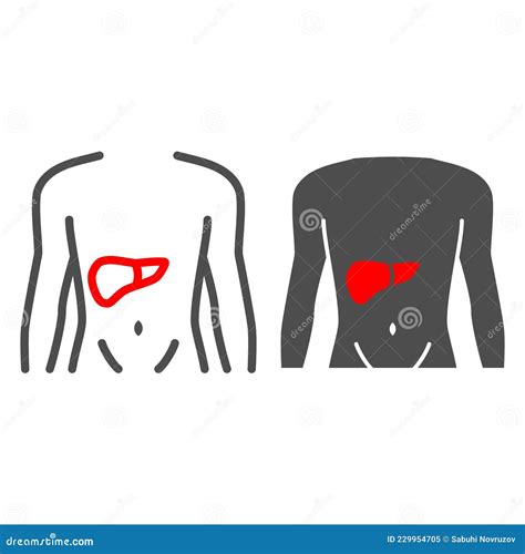 Pain In Liver Thin Line Icon Body Pain Concept Liver Disease Vector