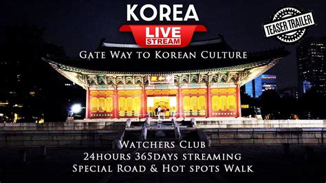 Korea Night Walk Tour 4k Fantastic Korea Walking Tour Live Watchers