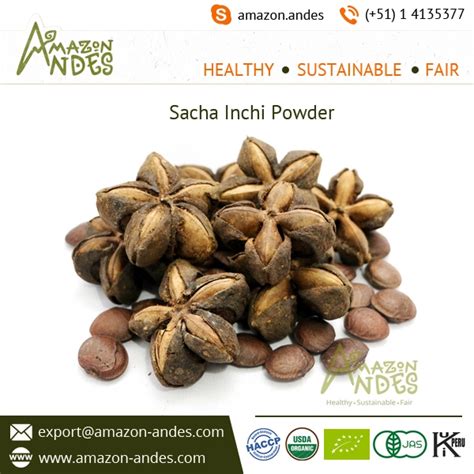 ORGANIC SACHA INCHI POWDER HIGH CONTENT OF OMEGA 3 6 AND 9 FATTY