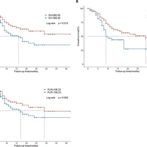 Overall Survival In Hcc Patients With Bm Treated With Radiotherapy