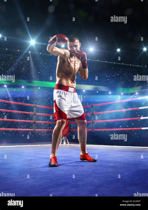 Professionl Boxer Is Standing On The Ring Stock Photo Alamy