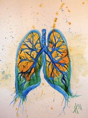 Lungs Watercolor original painting by shotviatheink on Etsy