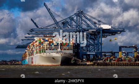 Container Ship Oocl Indonesia Docked At Trinity Terminal Port Of