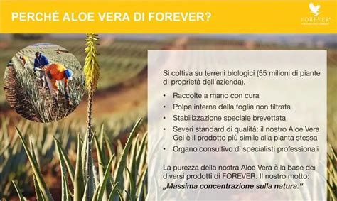 Come Riconoscere La Qualit Di Prodotti All Aloe Vera Fattori