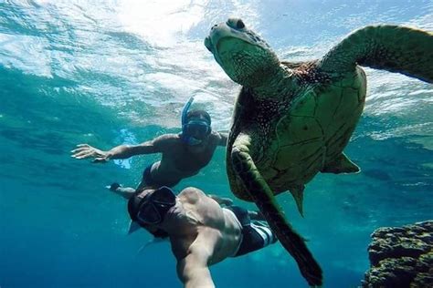 TripAdvisor | Vieques Snorkeling Tour from San Juan provided by Bespoke Lifestyle Management ...