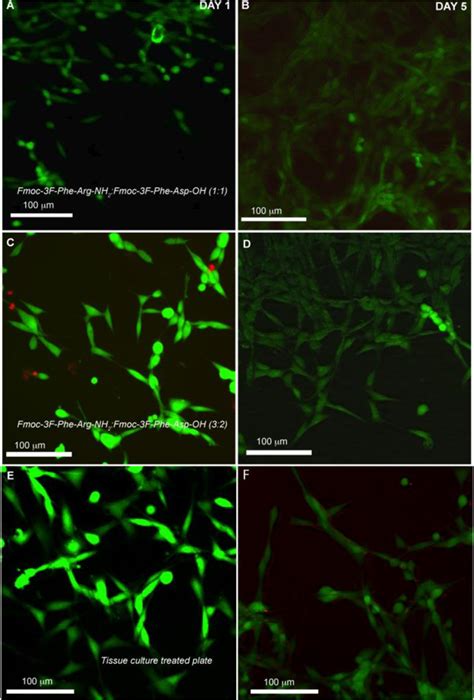 Multicomponent Dipeptide Hydrogels As Extracellular Matrix Mimetic