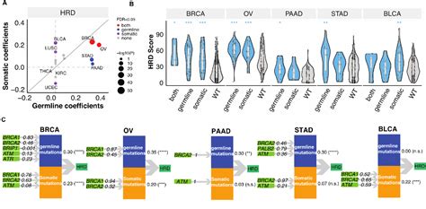 Figure 2 From Genomic Determinants Of Homologous Recombination Deficiency Genomic Determinants