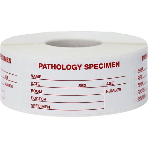 Pathology Specimen File Writable Labels