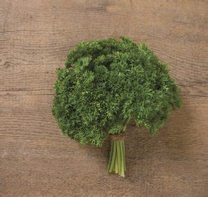 Parsley Curled Darki Sweet Valley By Jolly Farmer