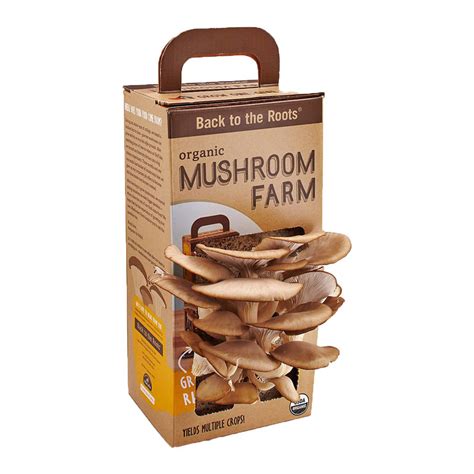 Mushroom Kit Boxes Mushroom Box Grow Kit Ibex Packaging