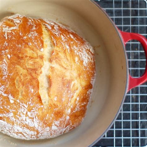 No Knead Bread Recipe By Jim Lahey Popsugar Food