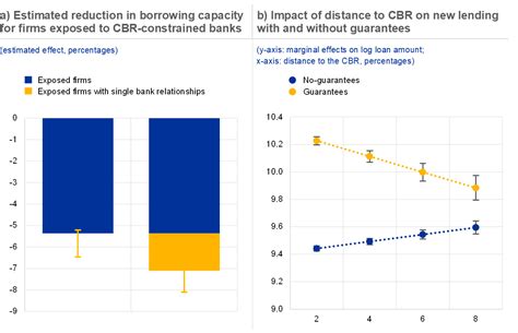 Bank Capital Buffers And Lending In The Euro Area During The Pandemic