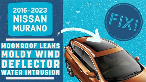 Nissan Murano Sunroof Leaking Follow This In Depth Mechanic S