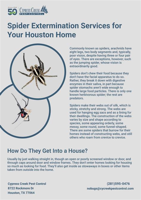 Houston Spider Control Pest Control Services Houston By Cycreekpesthouston Issuu