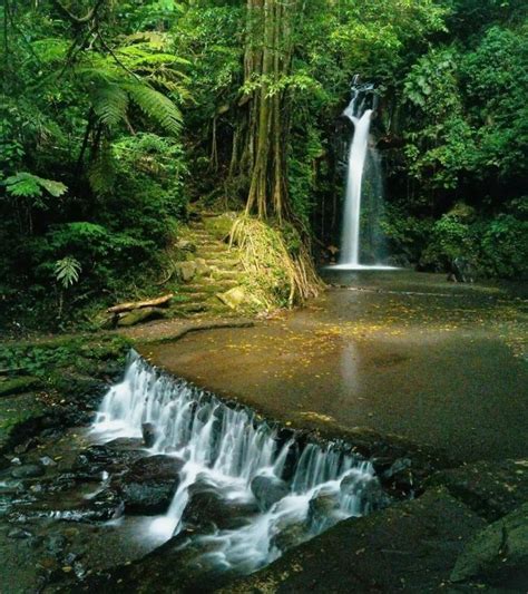 Detail Wisata Curug Putri Palutungan Visit Cirebon Never Ending