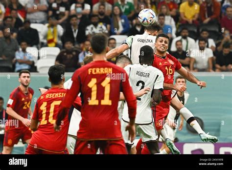 Rodri Of Spain During Spain V Germany Match Of The Fifa World Cup Qatar