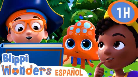 Conoce Al Equipo De La Curiosidad Blippi Wonders Caricaturas Para