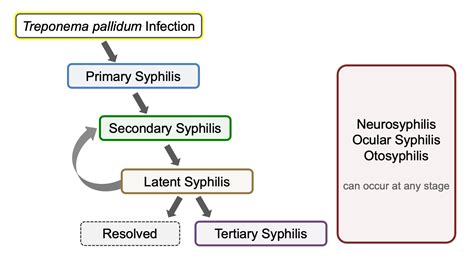 Core Concepts - Syphilis - Self-Study Lessons 2nd Edition - National ...