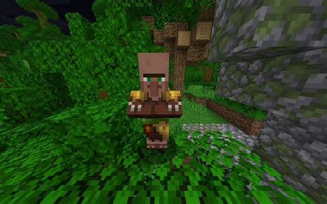 How To Get Swamp And Jungle Villagers In Minecraft