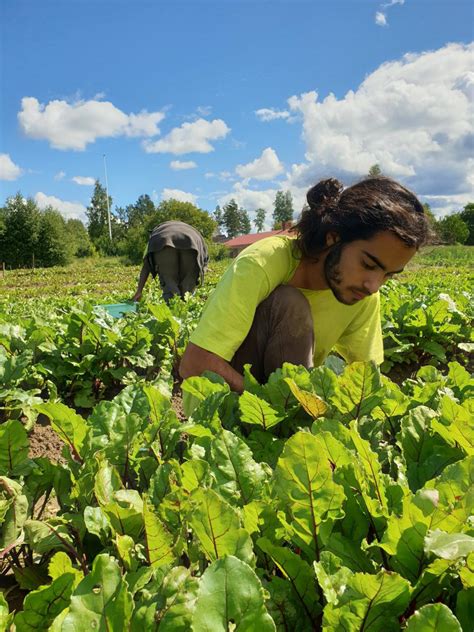 Från Jord till Bord Sveriges upplevelseguide Visit Sweden