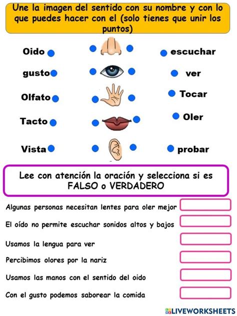 Los Sentidos Online Exercise For SEGUNDO GRADO Actividades