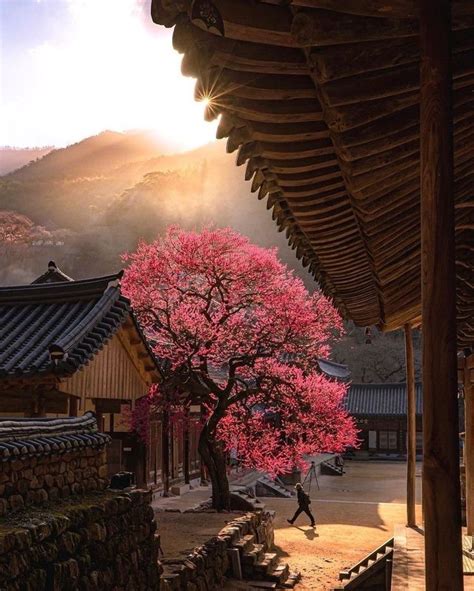 Pin On Salvamentos R Pidos South Korea Travel Korea Travel Landscape