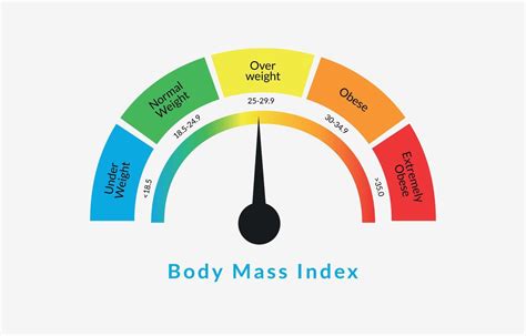 Body Mass Index Infographic Chart Colorful Bmi Chart Vector Illustration With White Isolated