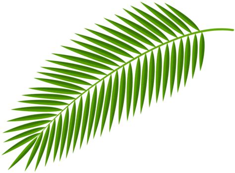 Palm Branch Transparent Clip Art Image | Gallery Yopriceville - High ...