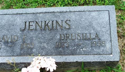 Drusilla Jane Bryan Jenkins 1873 1958 Find A Grave Memorial