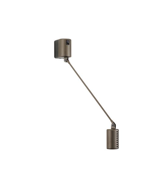 Daphine Parete - Mollerrothe