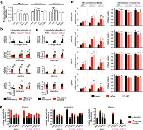 Glutamine Addiction Promotes Glucose Oxidation In Triple Negative