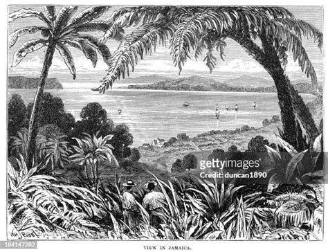 1,275 Jamaican History Stock Photos, High-Res Pictures, and Images ...