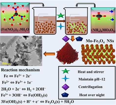 Schematic Representation And Description Of The Synthesized Fe3o4 And