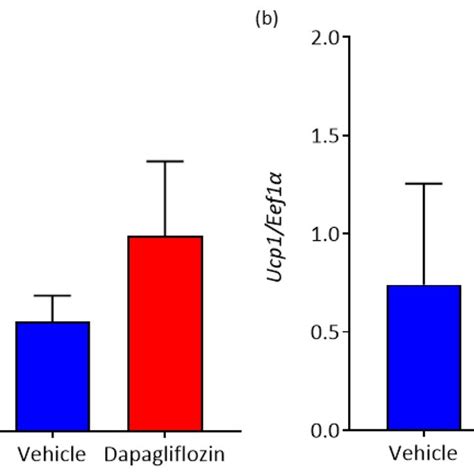 Inhibition Of Sglt Promotes Elevation Of Markers Of Bat In Wat A