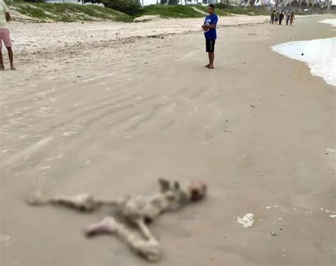 Corpo Encontrado Em Praia Pode Ser De Um Dos Tr S Pescadores