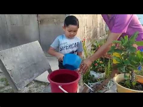 PEMBENTANGAN PROJEK PENYIRAM POKOK INOVASI Oleh Vicky Andre Bin