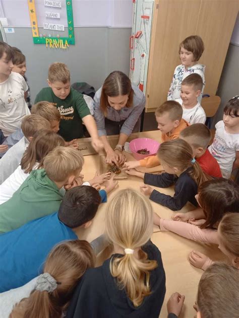 naturaviva hr Edukacija u osnovnim školama