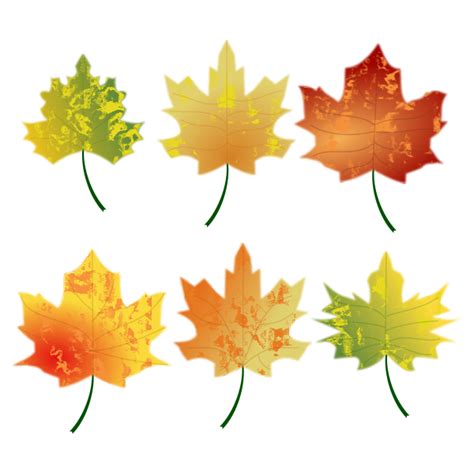 Autumn Leaves Svg