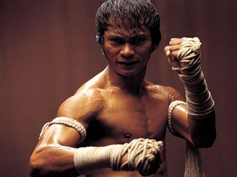 Tony Jaa Wallpapers Top Free Tony Jaa Backgrounds Wallpaperaccess