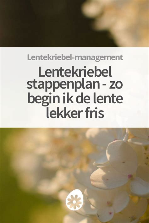 Lentekriebel Stappenplan Zo Begin Ik De Lente Lekker Fris Lekker