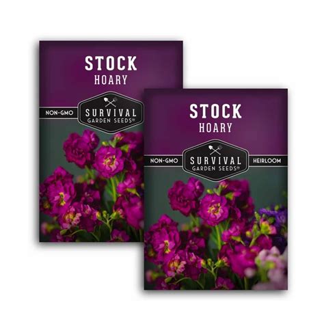 Fragrant Flowers — 7 Blooms for Amazing-Smelling Backyards | Livingetc