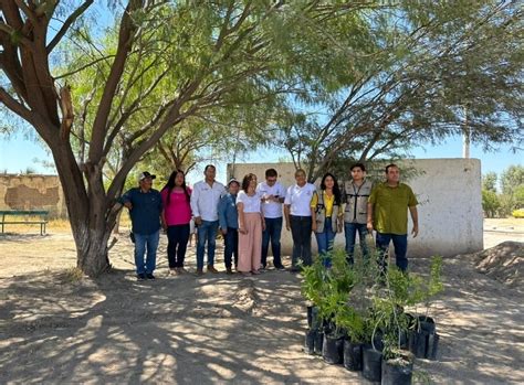 En Marcha Hist Rica Reforestaci N En El Rea Rural De G Mez Palacio