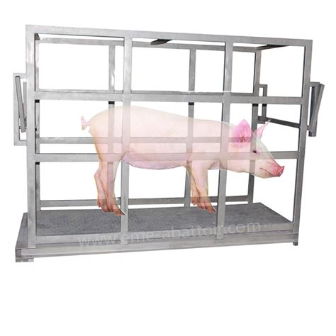 Living Pig Weight Scale Pig Slaughter Machine Automatic Slaughtering