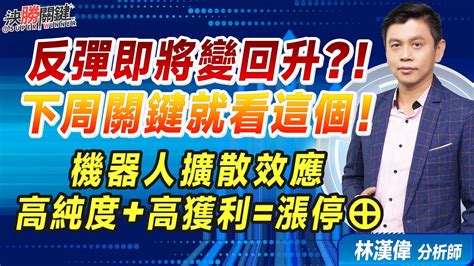 林漢偉分析師【反彈即將變回升？！ 下周關鍵就看這個！ 機器人擴散效應 高純度高獲利漲停⊕】決勝關鍵 20240816 Youtube