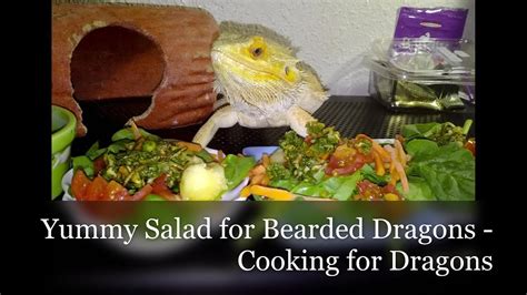 Cooking For Dragons A Basic Yummy Salad Youtube