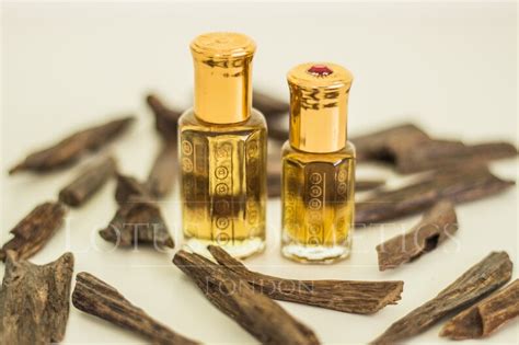 Oudh Leather Perfume Oil / Oud Long Lasting Vegan Unisex - Etsy