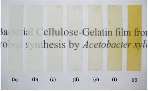 Materials Free Full Text Biosynthesis And Characterization Of