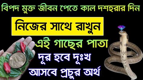 কাল দশহরার দিন সাথে রাখুন এই গাছের পাতা। দূর হবে দূঃখ আসবে প্রচুর অর্থ