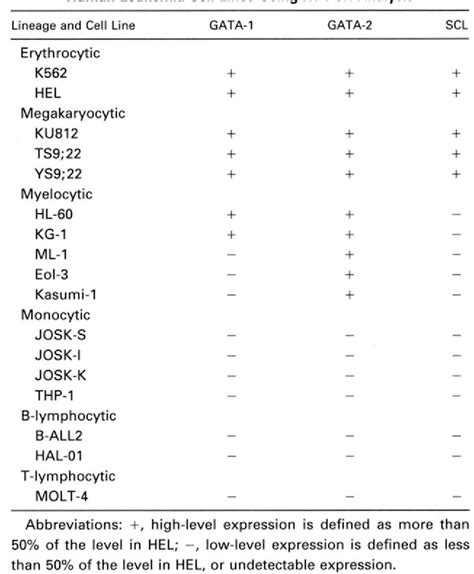 Pdf The Expression Pattern Of Erythrocyte Megakaryocyte Related